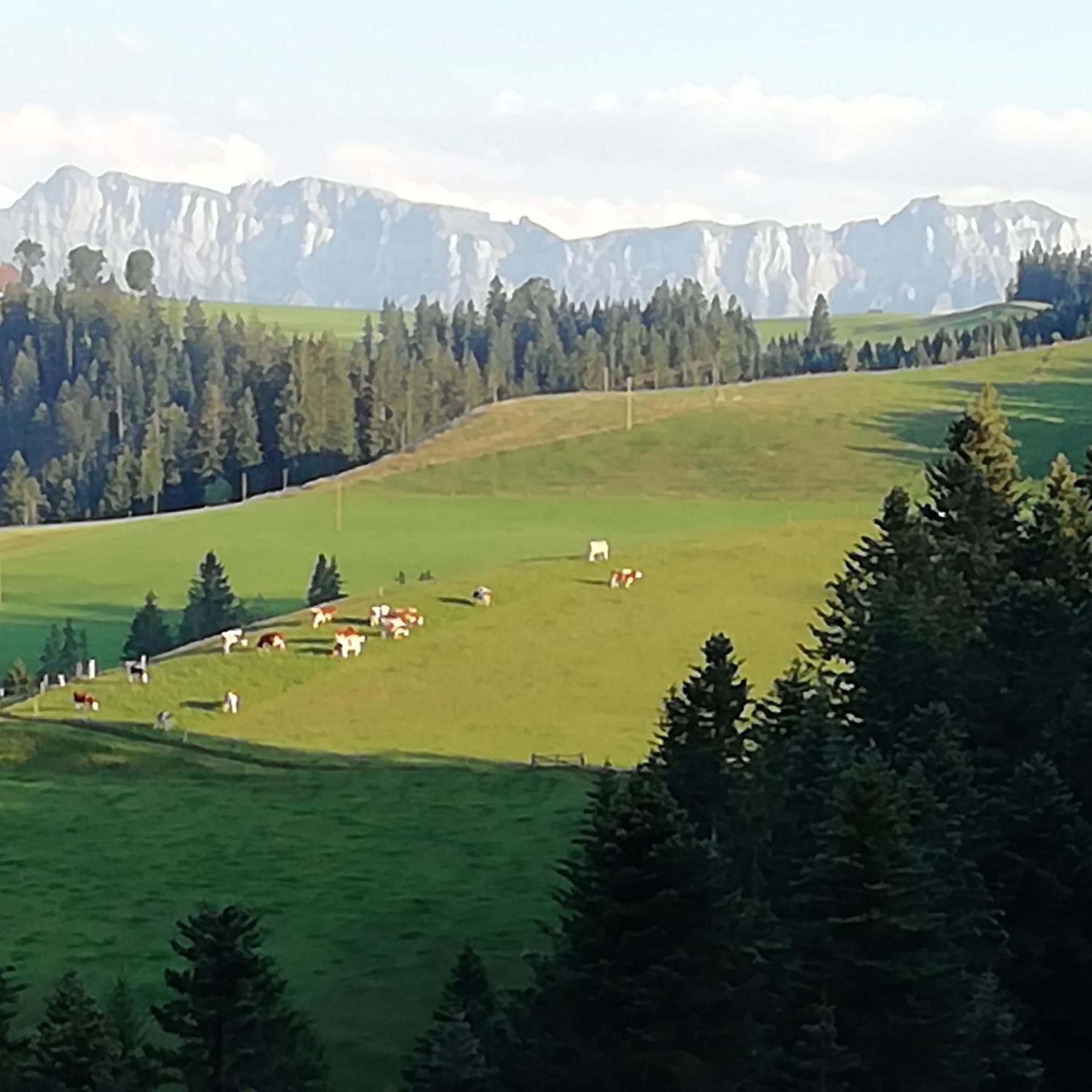 랑나우 Emmental Ferien 아파트 외부 사진