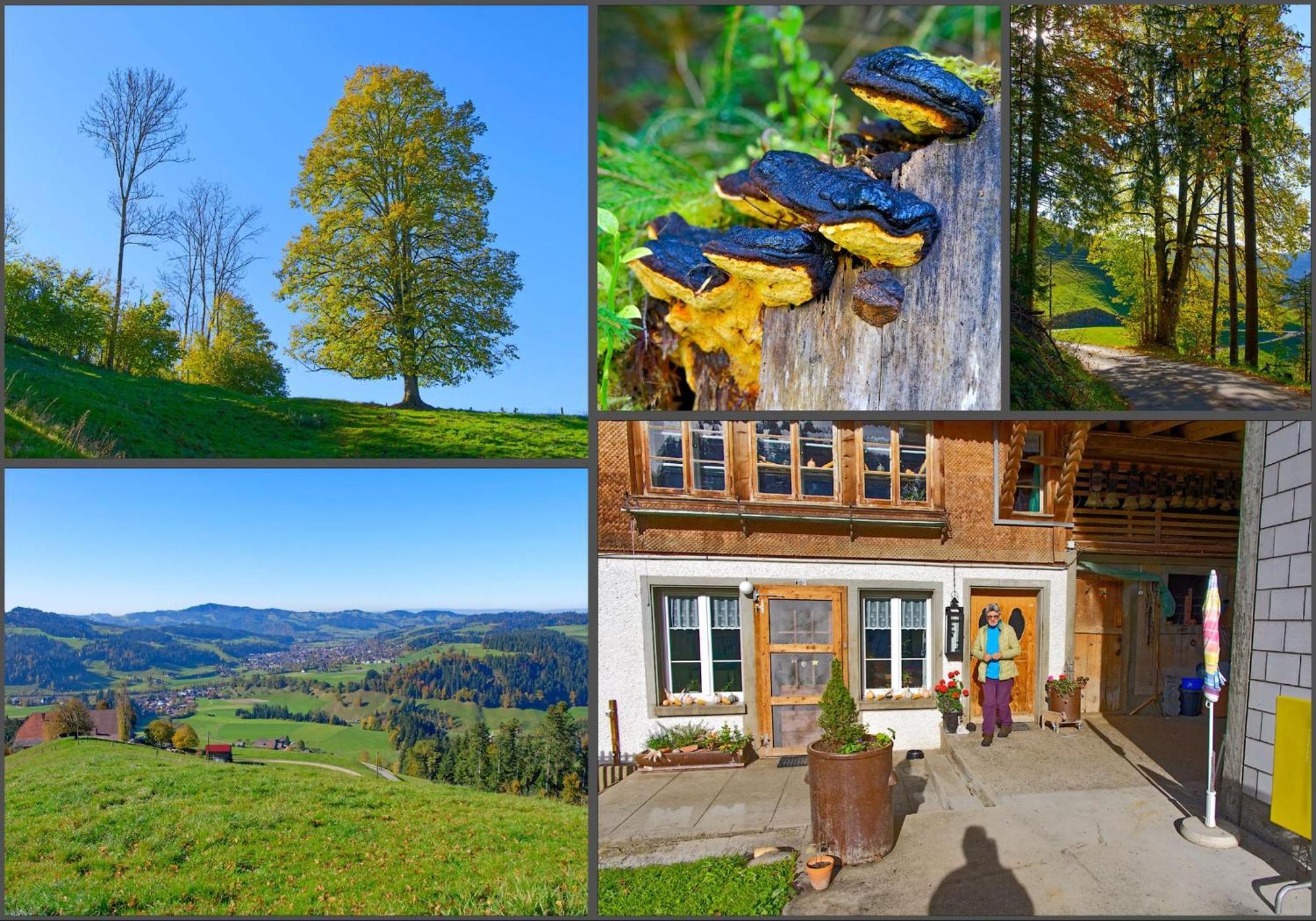 랑나우 Emmental Ferien 아파트 외부 사진